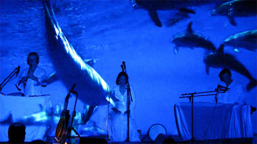 spirit-healing-arts-dolphins